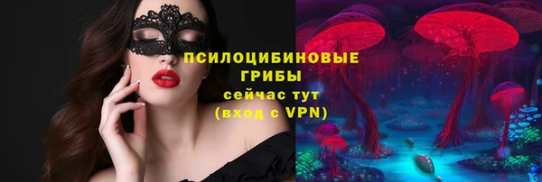 стафф Волосово