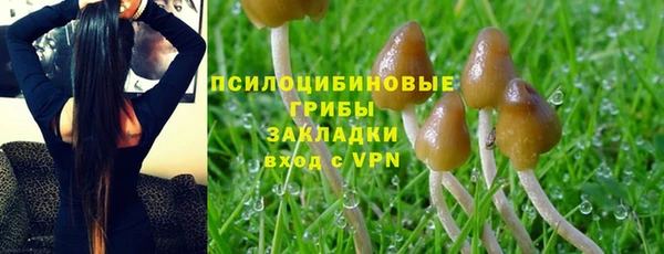 стафф Волосово