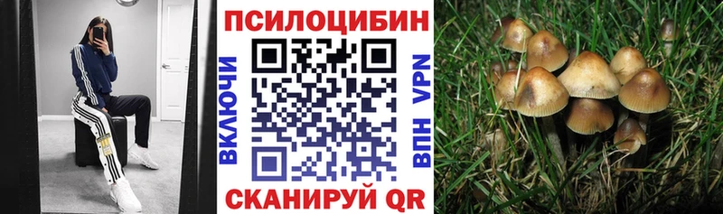 Галлюциногенные грибы ЛСД  Купить  Володарск 
